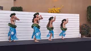 Tautiare Hula Dance Group In Oceanside  Polynesian Tahitian Hawaiin Samoan Tonga Guam Feb 9 2024 [upl. by Elder]