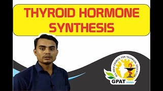 THYROID HORMONE SYNTHESIS  PHARMACOLOGY  GPAT2020  PHARMACIST  DRUG INSPECTOR [upl. by Nellda]