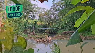 Calm Sleep Sounds  Tranquil Waterfall Relaxation  Soft Sound of Flowing Water  view from behind [upl. by Jentoft669]