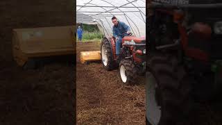 Klepelen van de tagetes in de tunnelkas door loonbedrijf Seelen met smalspoor tractor [upl. by Laryssa]