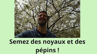 Semez des noyaux et des pépins  ça marche [upl. by Nylhtiak841]