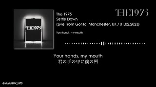 The 1975  Settle Down Live From Gorilla [upl. by Giustina200]