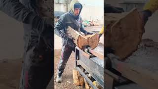 Crazy Firewood Processing Machine Shorts Woodworking Woodcutting Viralvideo [upl. by Resay]