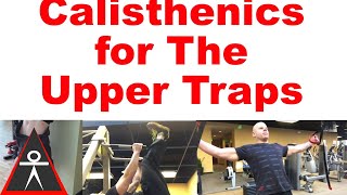 Upper Trap  Back Calisthenics Exercises [upl. by Hoopes]