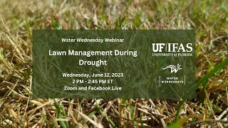 Water Wednesday  Lawn Management During Drought [upl. by Limaj]