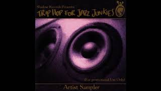 Trip Hop For Jazz Junkies 1996 Full Album [upl. by Alexandria]