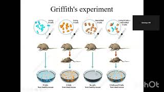 Griffith Experimentbiology neet exam ncert [upl. by Casimire]