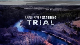 LIVE  Apple River stabbing trial Nicolae Miu  Day 7 [upl. by Boiney]