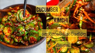 කිම්ච් සිංහලෙන් හදන හැටි කියලා දෙන්නද  How to make Kimchi at home kimchi kimchirecipe [upl. by Blayze620]