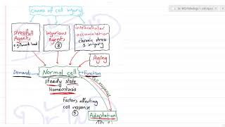 Cell injury 1 overview [upl. by Dorita]