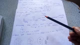 PATHOLOGY OF KIDNEYMEDULLARY CYSTIC DISEASEMEDULLARY SPONGE DISEASE⚡ [upl. by Thorrlow]