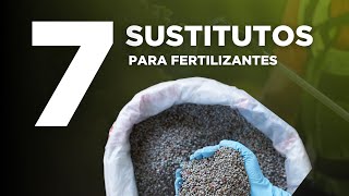 7 Sustitutos para fertilizantes de síntesis química [upl. by Veats]