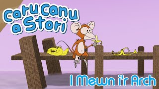 Caru Canu a Stori  I Mewn Ir Arch Welsh Childrens Song amp Story [upl. by Ebba]