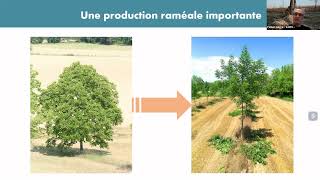 Chimie verte et produits biosoucés  Projet RampD Agrobranche [upl. by Imit107]