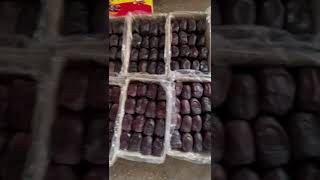 Kimia Dates  Ajwa Dates Safawi Dates  Kalmi Dates  Sukkari Dates at Barkaat Dates Mumbai 1 [upl. by Hairom359]