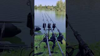 ROC XRS Carp Run 🖤♥️😮‍💨 fishing carp catchfish compilation compilations fishinggear [upl. by Dnomyad]