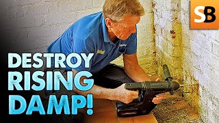 Easy DIY Solution to Treat Rising Damp in Walls [upl. by Levan]