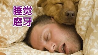 牙医教你夜里磨牙怎么办？ How to Stop Grinding Teeth at Night？ [upl. by Geof]