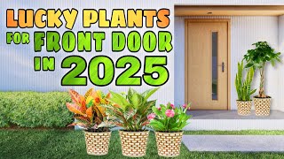 10 LUCKY PLANTS FOR FRONT DOOR IN 2025  Swerteng halaman sa pintuan para sa pera at success 2025 [upl. by Jegar837]