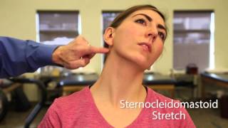 TMJ Exercise Sternocleidomastoid Stretch [upl. by Akessej776]