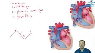 Jugular venous pressure [upl. by Nabla199]