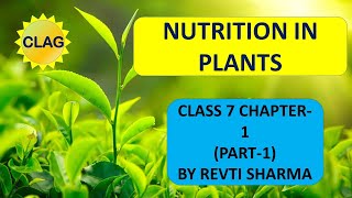 Nutrition in Plants Class 7 Chapter 1 Part 1  Science  By Revti Sharma [upl. by Acalia]