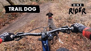 Riding MTB trails with my dog [upl. by Htiekal206]