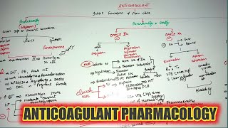 Anticoagulant pharmacology pharma katzung lippincott [upl. by Buyer511]