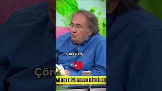 Mideye İyi Gelen Bitkiler 🌿👍 ibrahimsaraçoğlu faydatv şifalıbitkiler mide [upl. by Amadas]