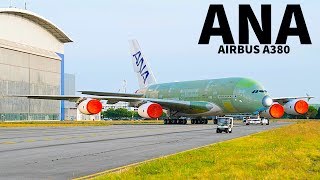 Introducing the First ANA A380 [upl. by Maleeny497]