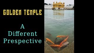 Golden Temple in Amritsar during Rain Shorts [upl. by Puri]