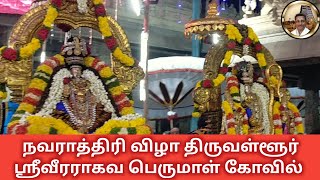 Navratri Festival Sri Vaidhya Veera Raghava Perumal Temple 🔴live [upl. by Lisa899]