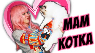 MAM NOWEGO KOTKA RAGDOLL 😻 Haul Zakupowy Shopee [upl. by Arraic]