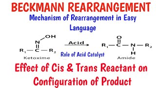 Beckmann rearrangement with stereochemistry [upl. by Winikka]