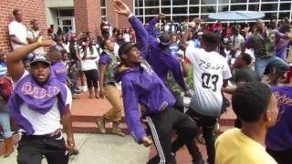 Omega Psi Phi disses Sigmas and Kappas at Tennessee State University Courtyard Wednesday [upl. by Animas750]