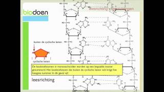 Biodoen  leesrichting 1 van 2 [upl. by Steward]