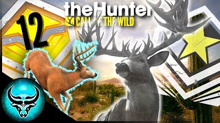 How Many DIAMONDS Before The GREAT ONE Appears 12 Diamond Whitetail in Rancho Call of the Wild [upl. by Rhiamon497]