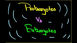 Learn Clearly Difference between prokaryotes and eukaryotes neet drvikashbhardwaj [upl. by Nilrah]