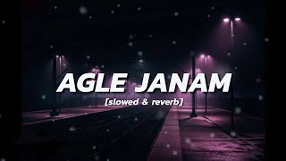 Agle Janam Slowed amp Reverb Rishi Roy  Hindi slowed and reverb song hindi song [upl. by Langston]