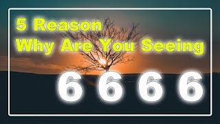 🔴 5 Reasons Why Are You Seeing 6666 ✅ 6666 Angel Number Meaning [upl. by Ahsiled266]