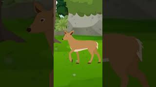 Shak Part 1  One Minute Story  Cartoon  cartoonanimal [upl. by Marianne]