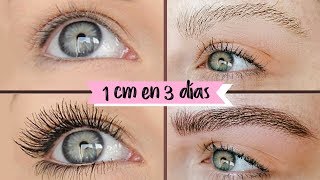 CÓMO HACER CRECER 1CM PESTAÑAS Y CEJAS EN 3 DÍAS NATURALMENTE REMEDIO CASERO 100 EFECTIVO [upl. by Rezzani728]