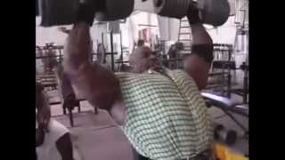 Best of Ronnie Coleman [upl. by Aaberg]