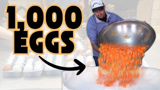 I Made Pasta with 1000 Eggs [upl. by Terrill]