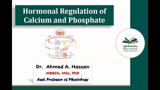 Hormonal Regulation of Calcium and Phosphate [upl. by Ellened]