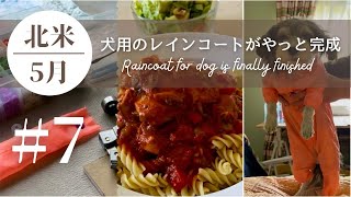 やり遂げる事・日常の夕食・少しのサプライズ【アメリカ暮らし07】Accomplishments everyday dinners and little surprises [upl. by Awram]