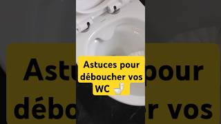 Comment déboucher les toilettes rapidement [upl. by Abran]