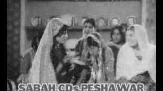 Pashto filmi SOng [upl. by Bliss581]