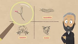 5 Taxonomie der Gliederfüßer [upl. by Niamor112]