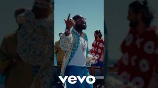 Davido  AWAY Official Video [upl. by Aerdied895]